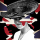 Image for article titled The Rise and Fall and Attempted Rise Again of Sarah Ferguson, Duchess of York